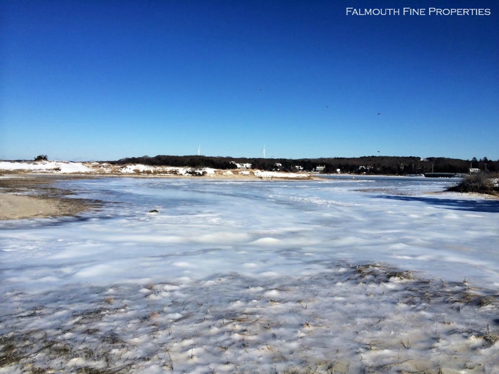 west falmouth harbor